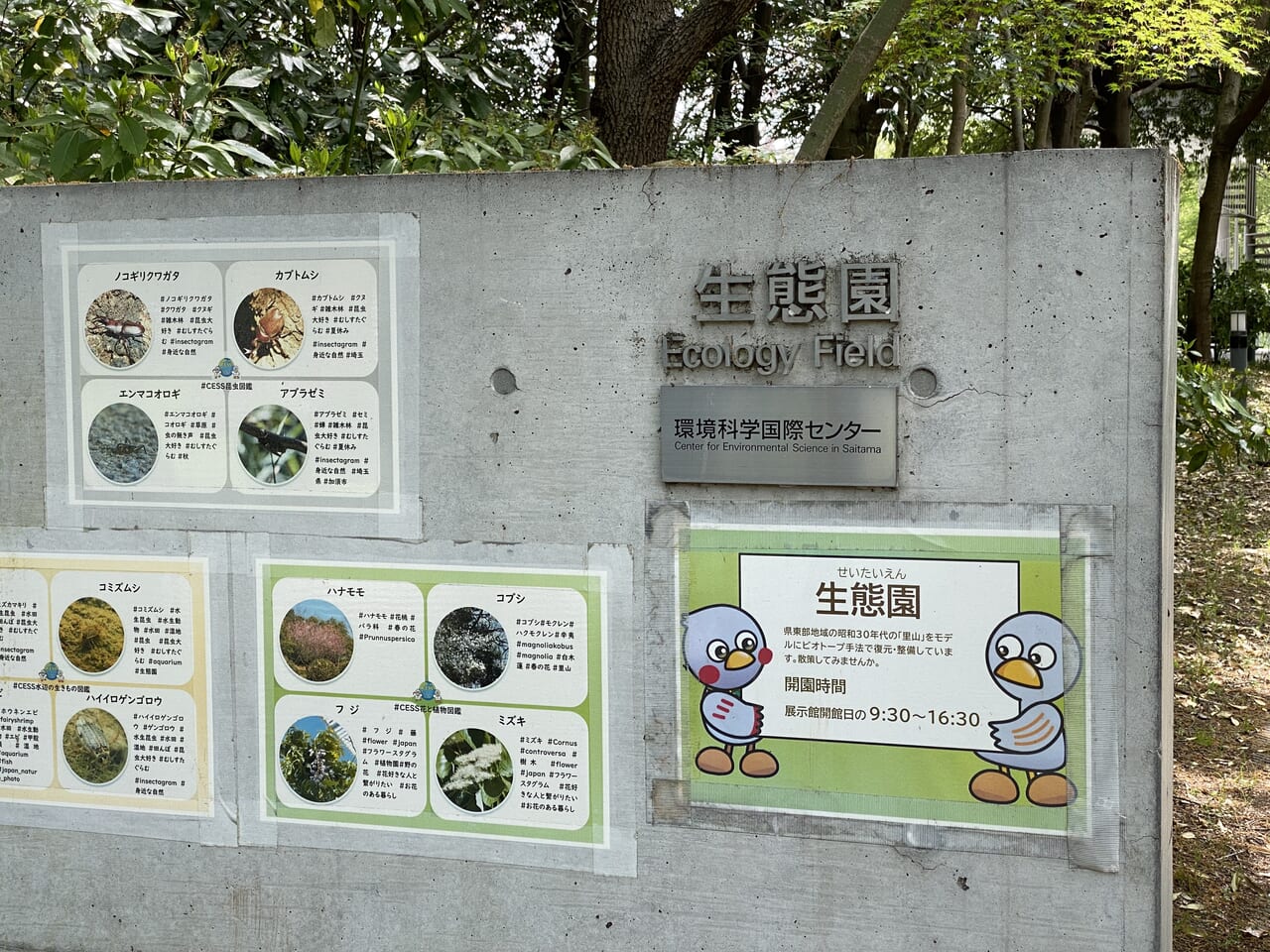 環境科学国際センター生態園の入口