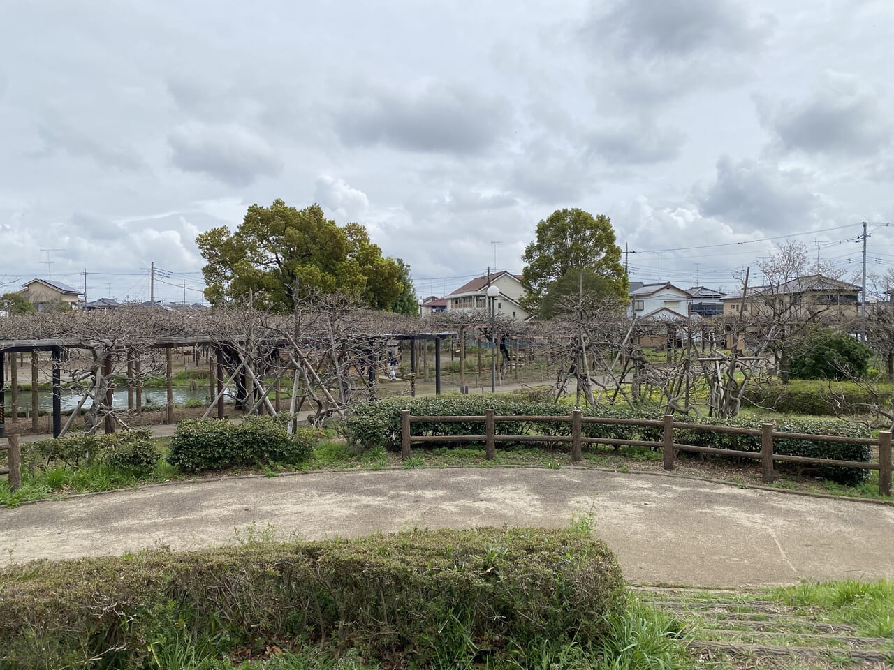 大天白公園の全景