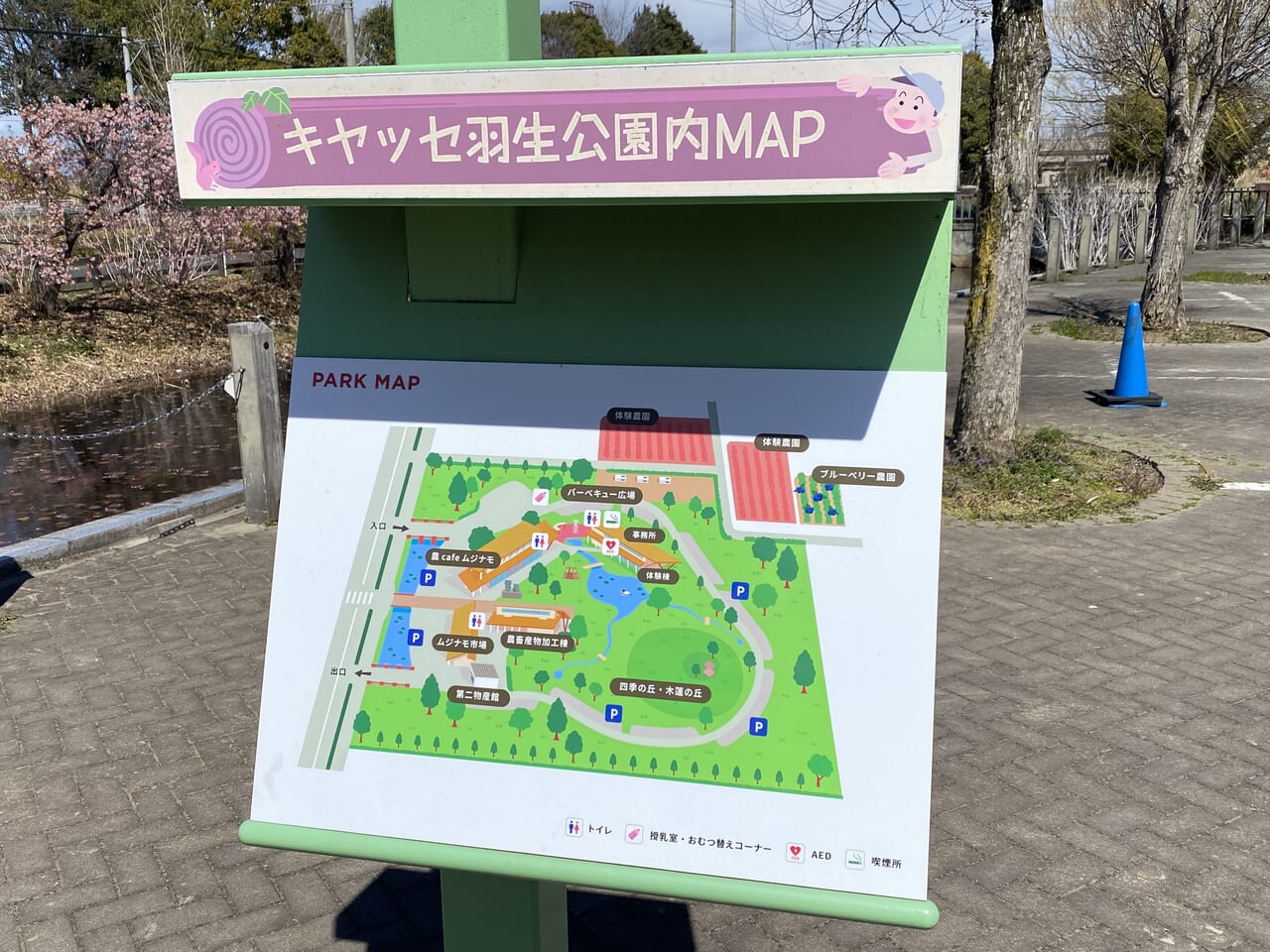 キヤッセ羽生の園内マップ