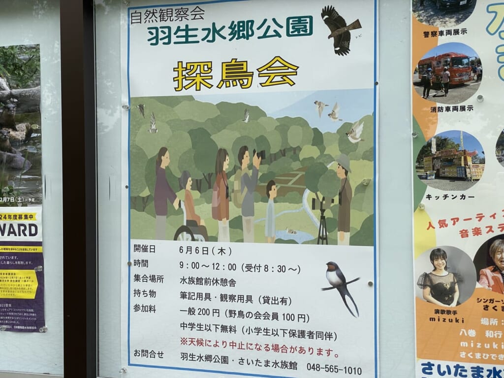 探鳥会開催を知らせるポスター