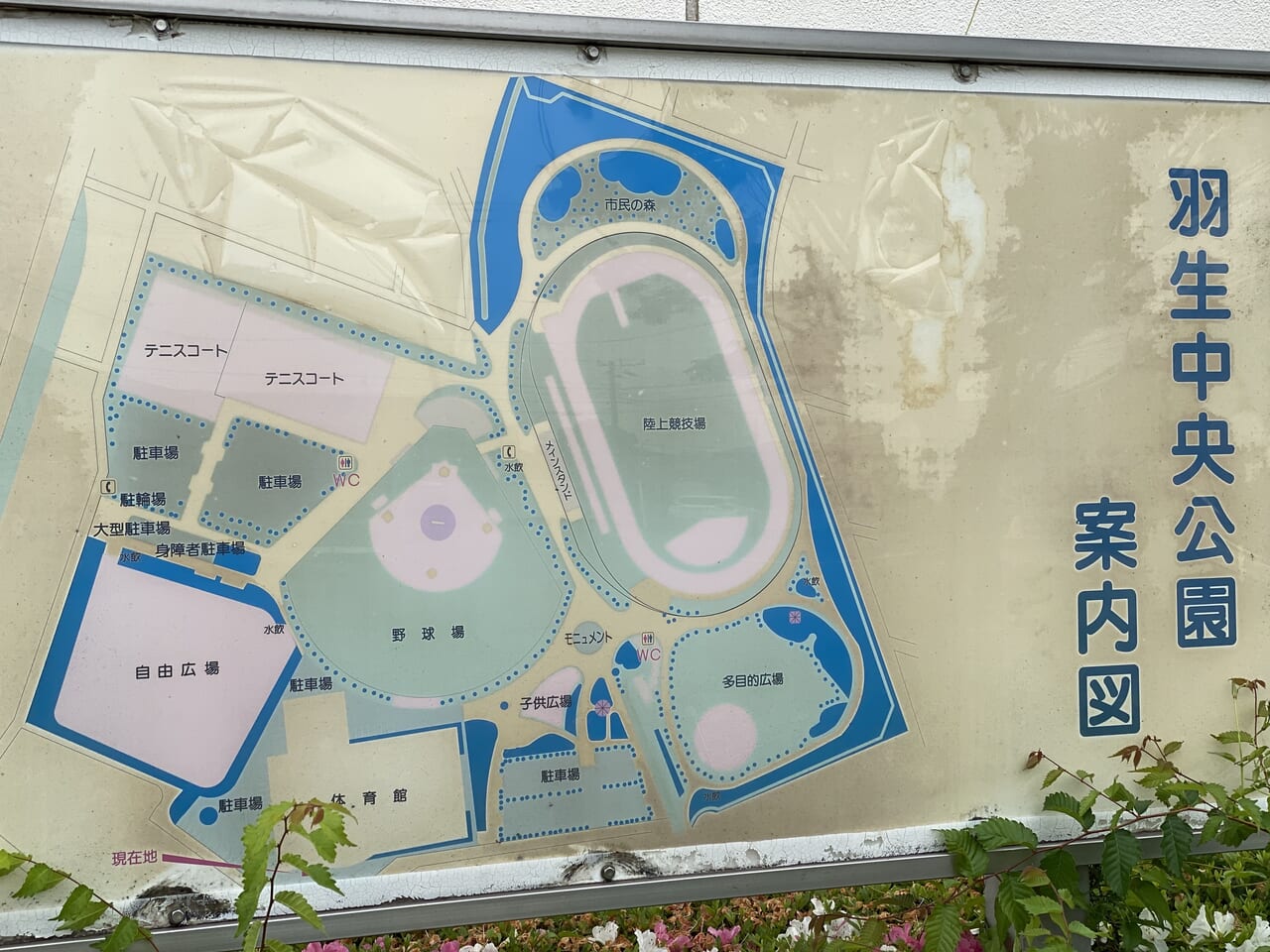 羽生中央公園の案内図