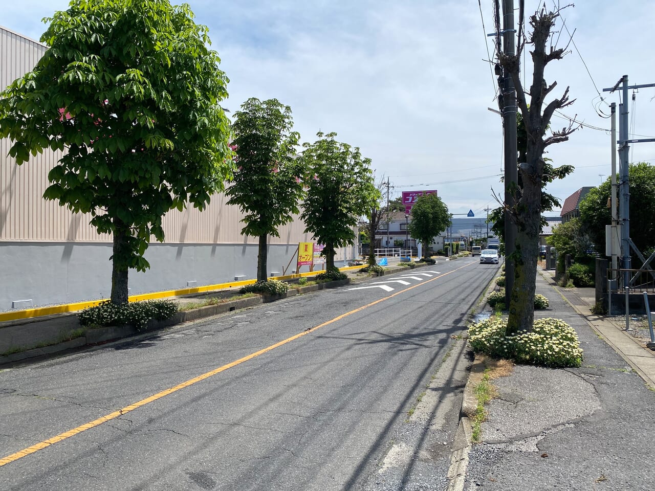 コスモス久下店の前の通り