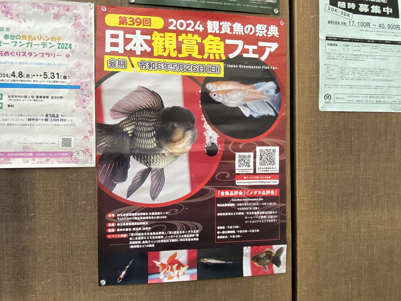 日本観賞魚フェアのポスター