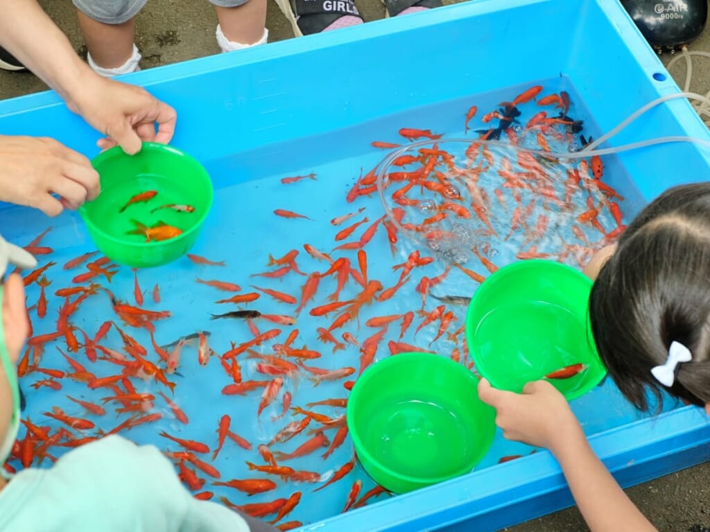 金魚すくいをしている子供たち