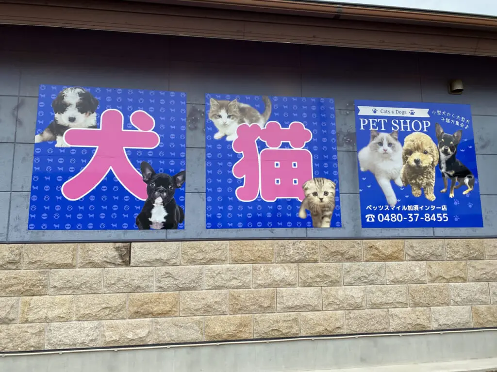 犬と猫が描かれた看板