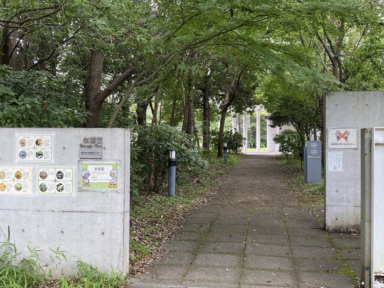 環境科学国際センター生態園入口