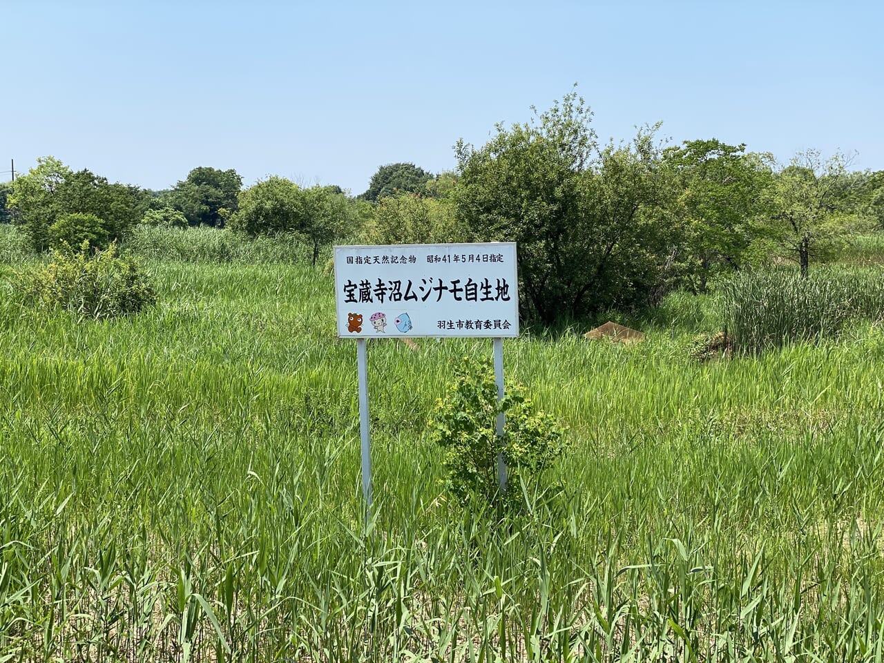 宝蔵寺沼ムジナモ自生地の看板