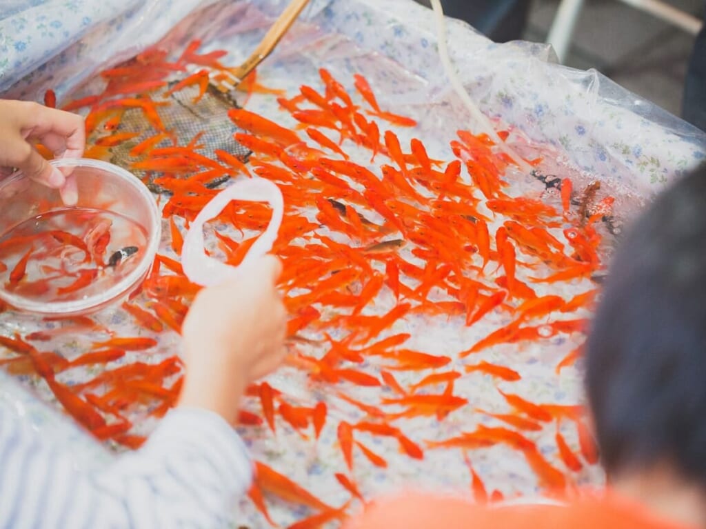 金魚すくいのイメージ