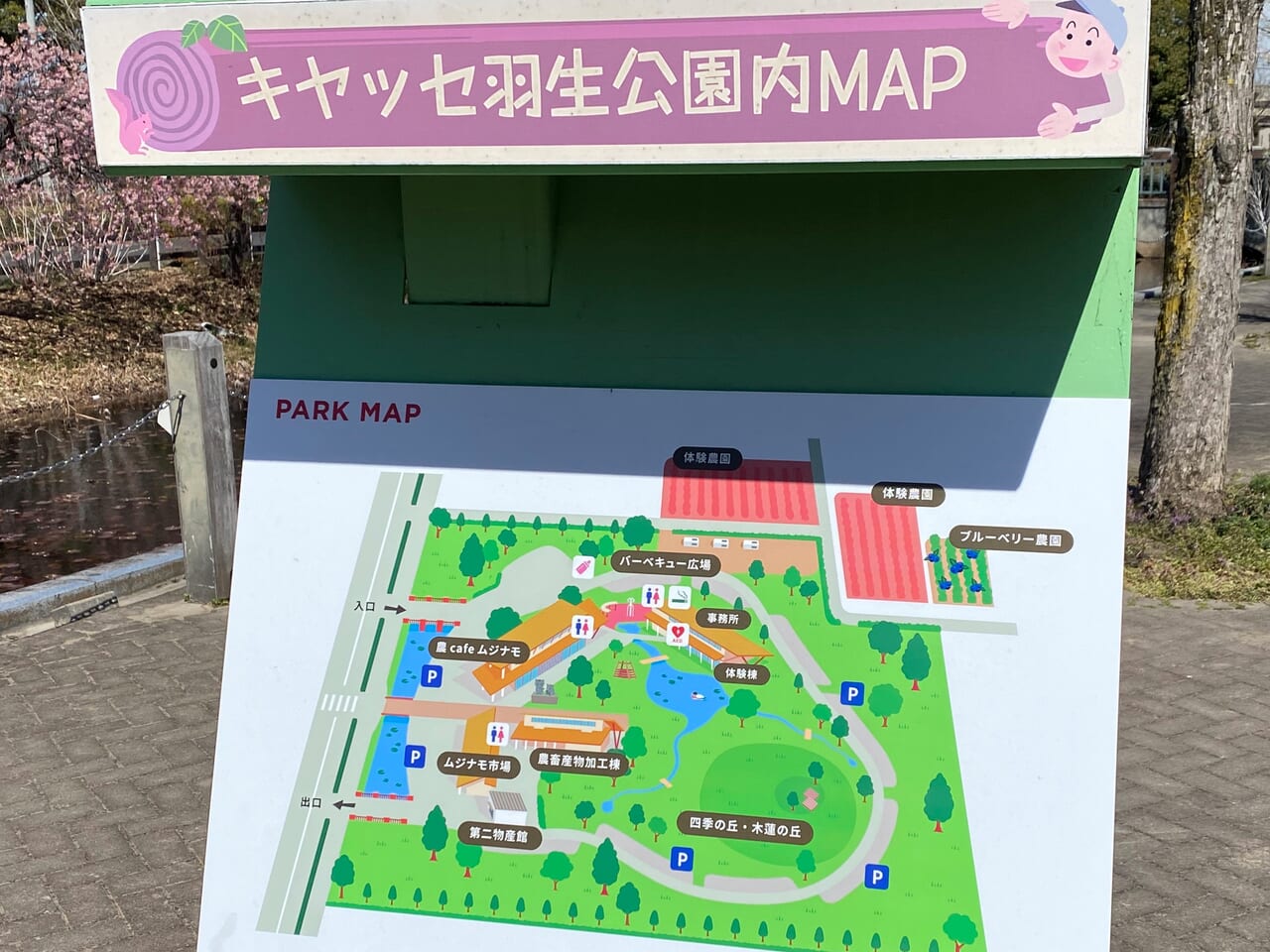 キヤッセ羽生の園内マップ