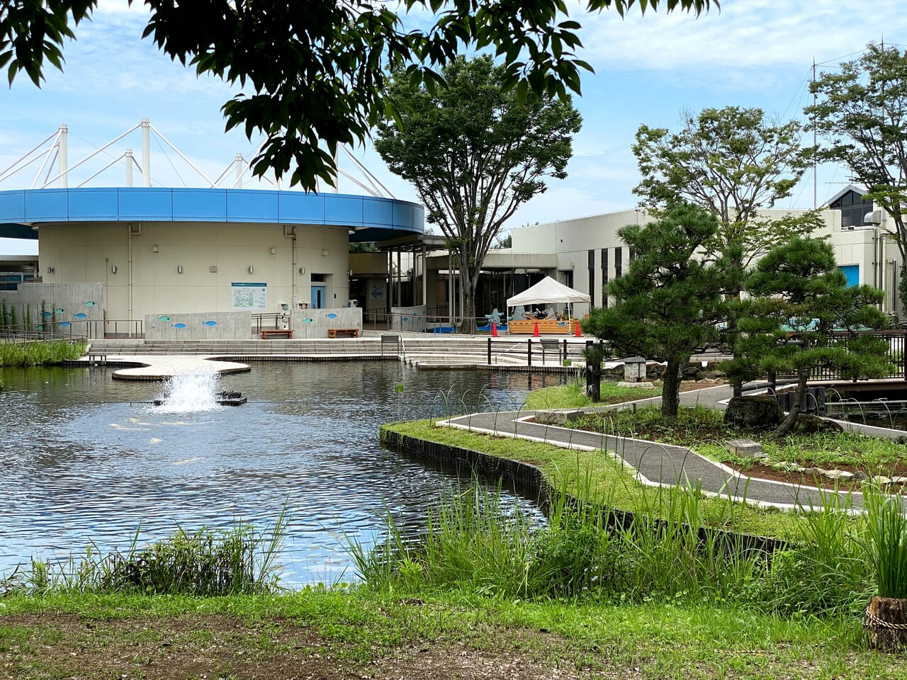 さいたま水族館の屋外展示エリア