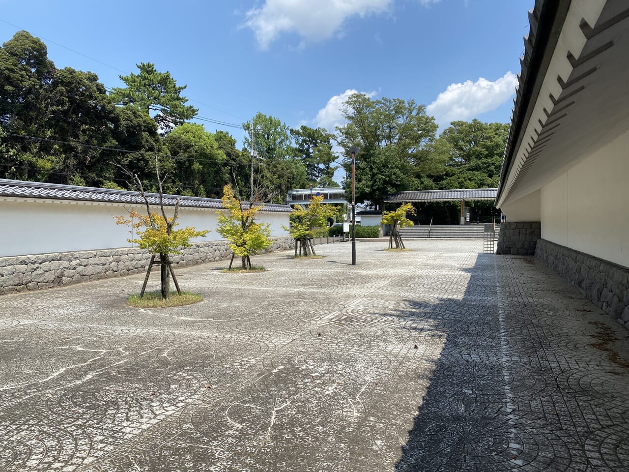 チャンバラ合戦会場となる駐輪場奥からの景色