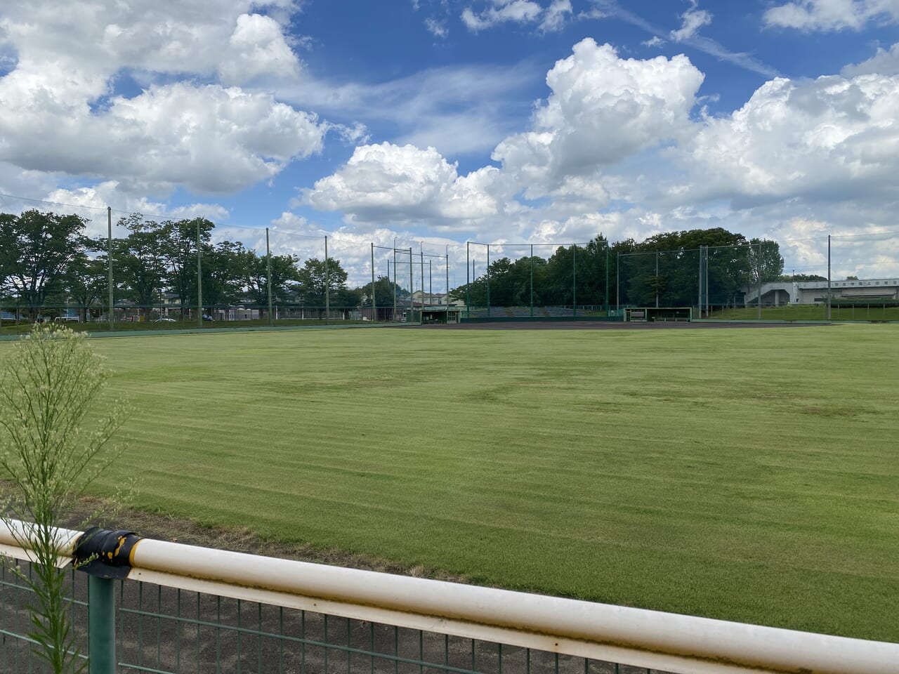 羽生中央公園の野球場