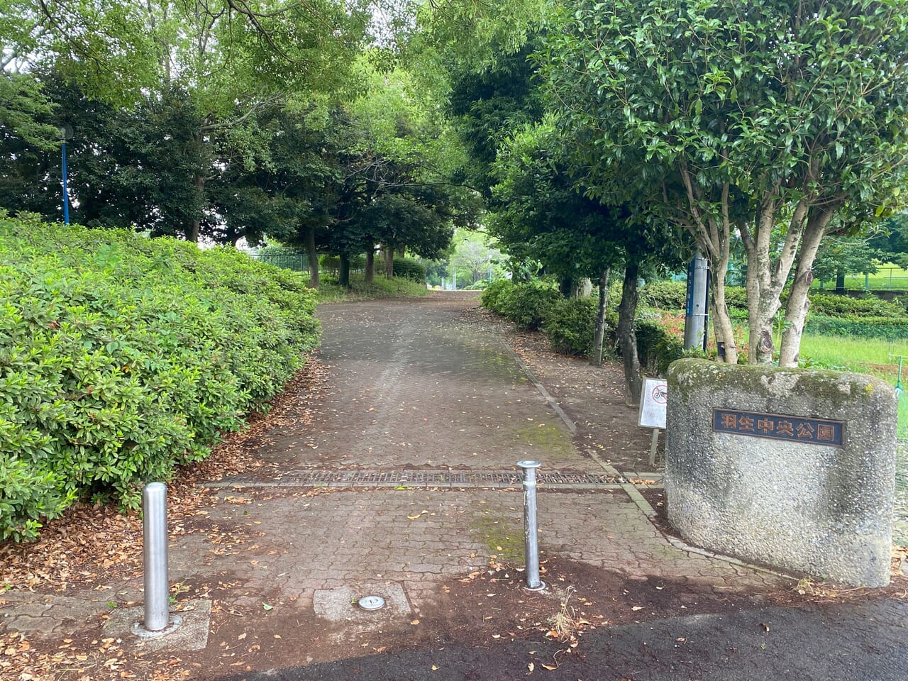 羽生中央公園