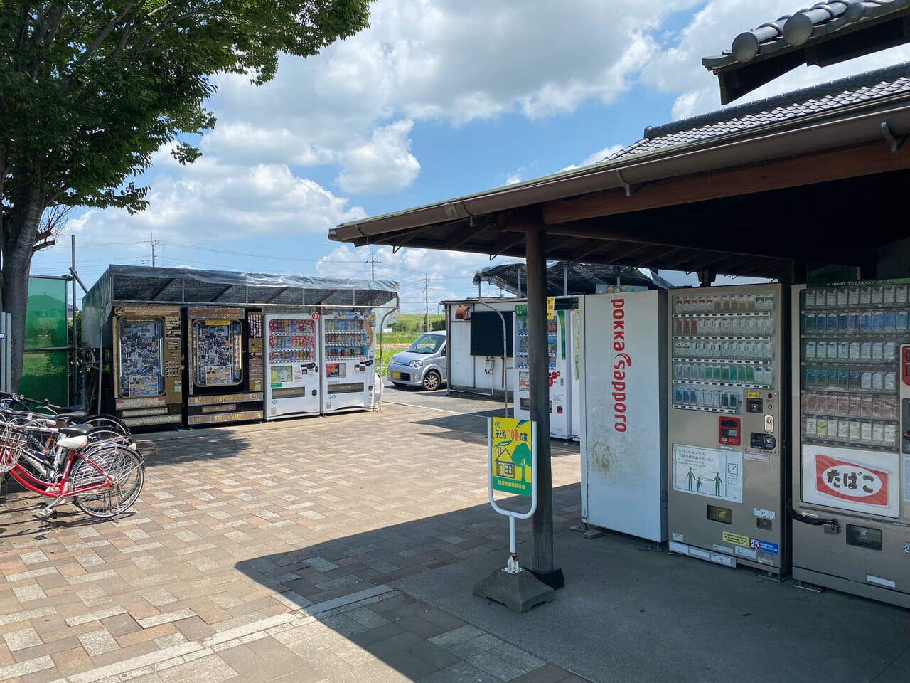 ホテイアオイの花園への通路