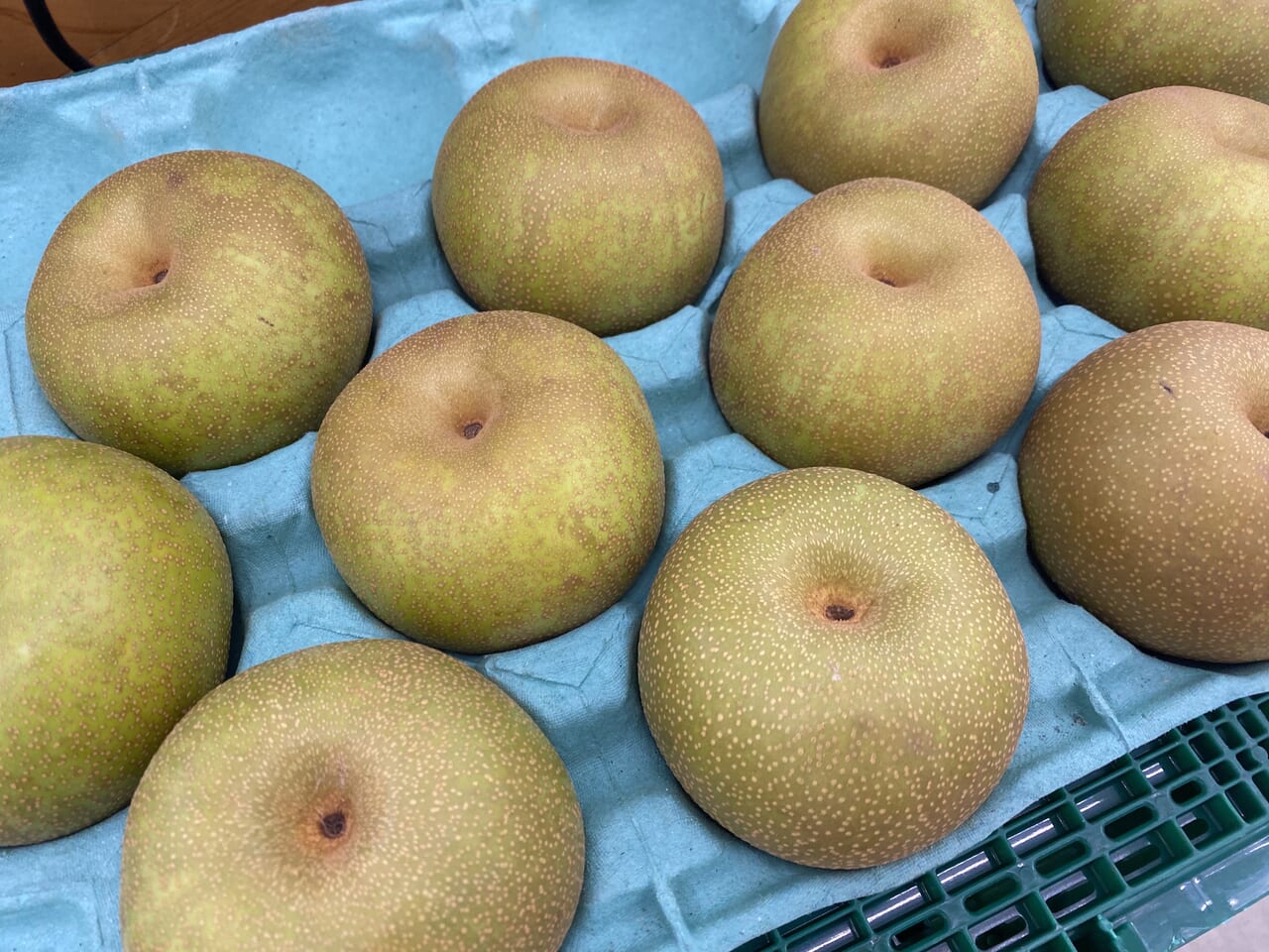 騎西 梨の関口の幸水