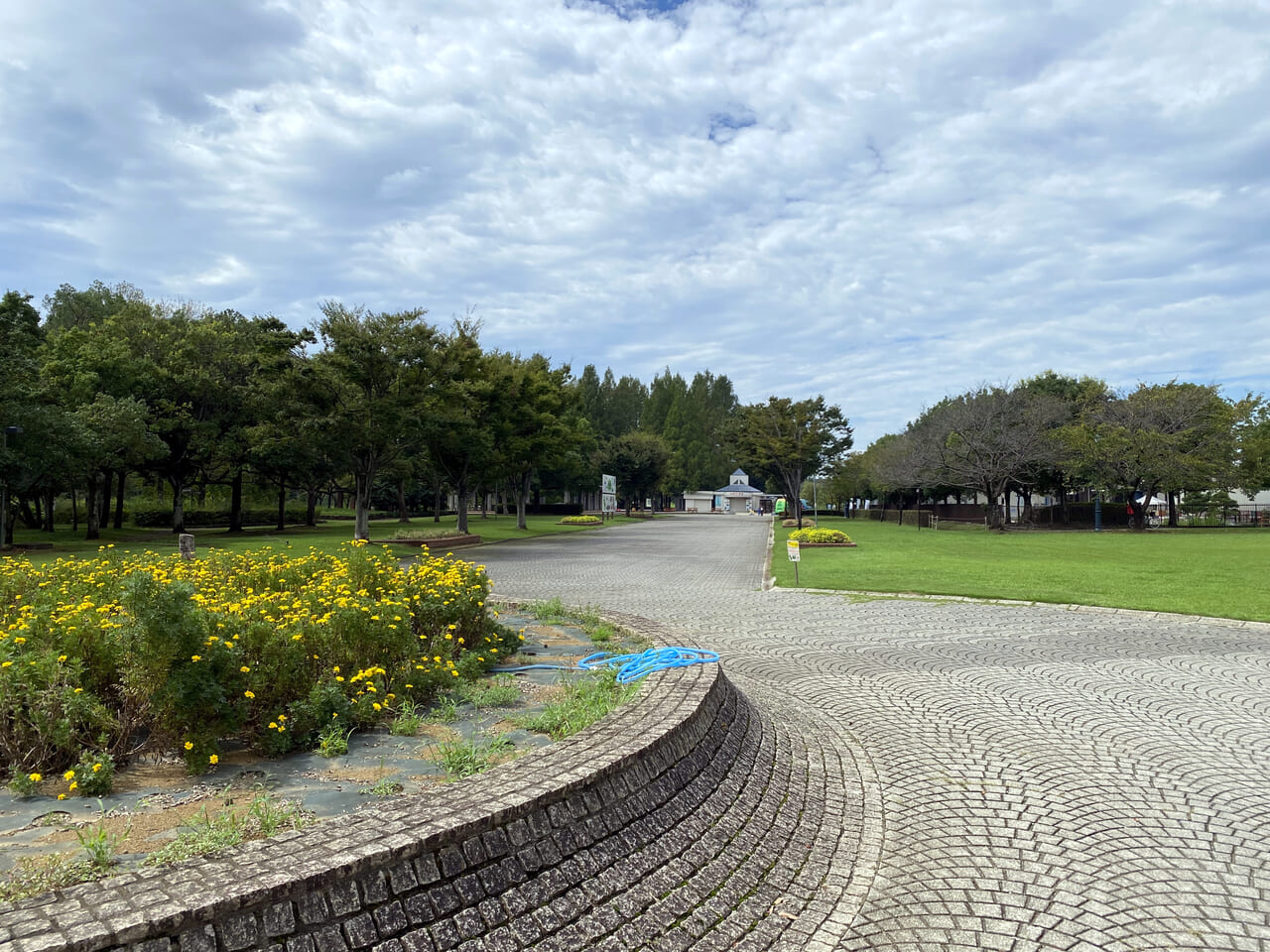 羽生水郷公園