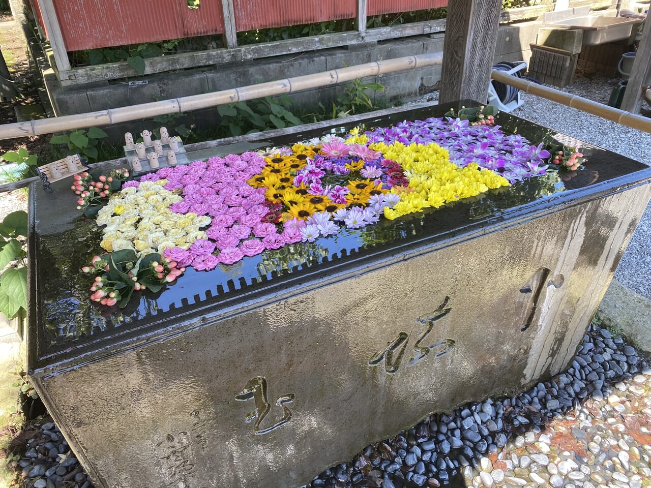 前玉神社の花手水