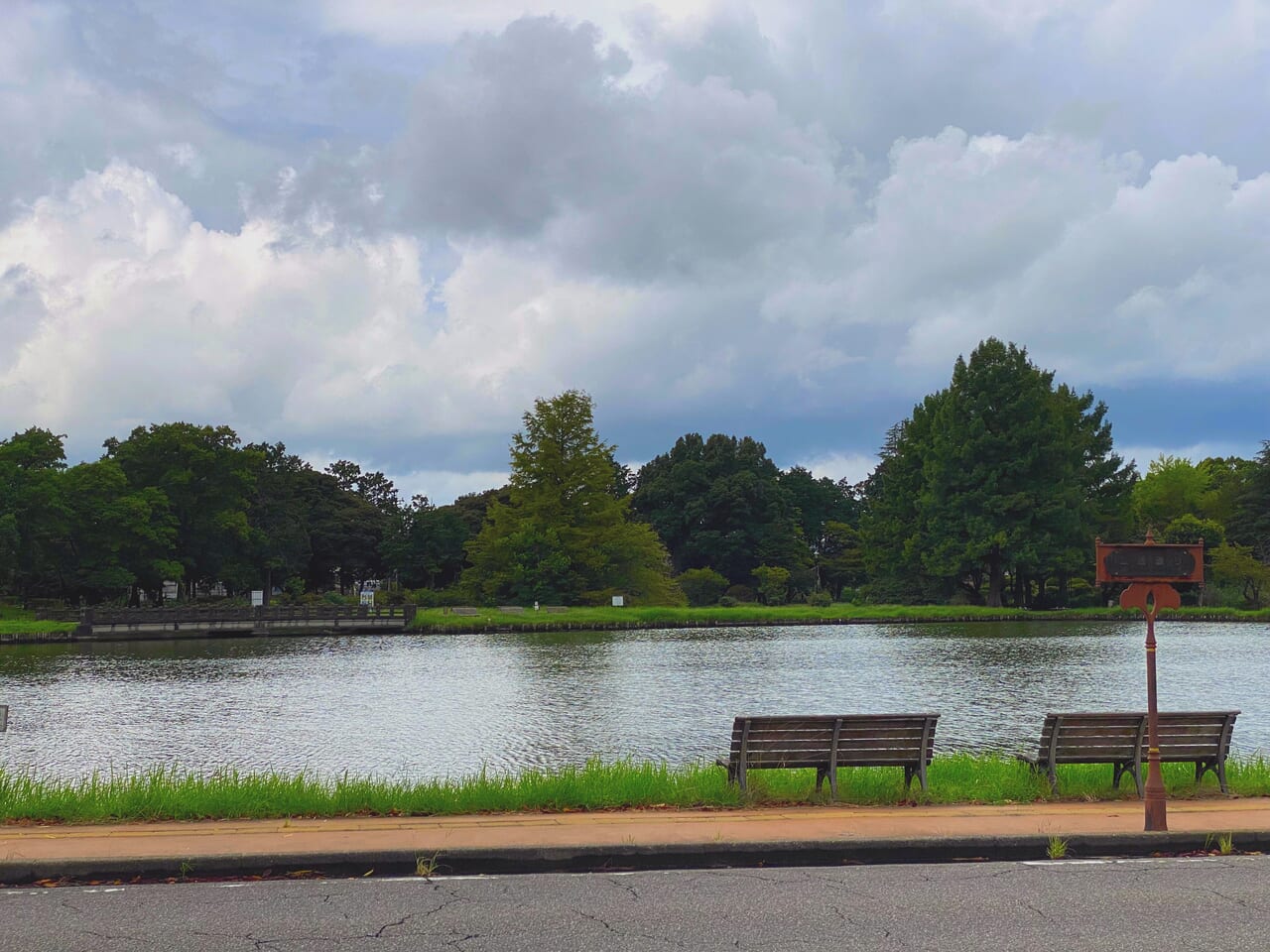 水城公園のしのぶ池