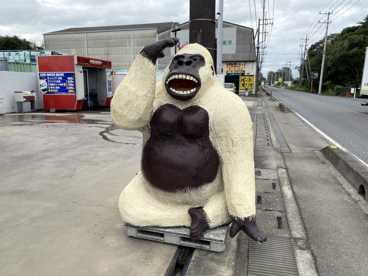 ニュー加須SSのマスコット・ゴリラ