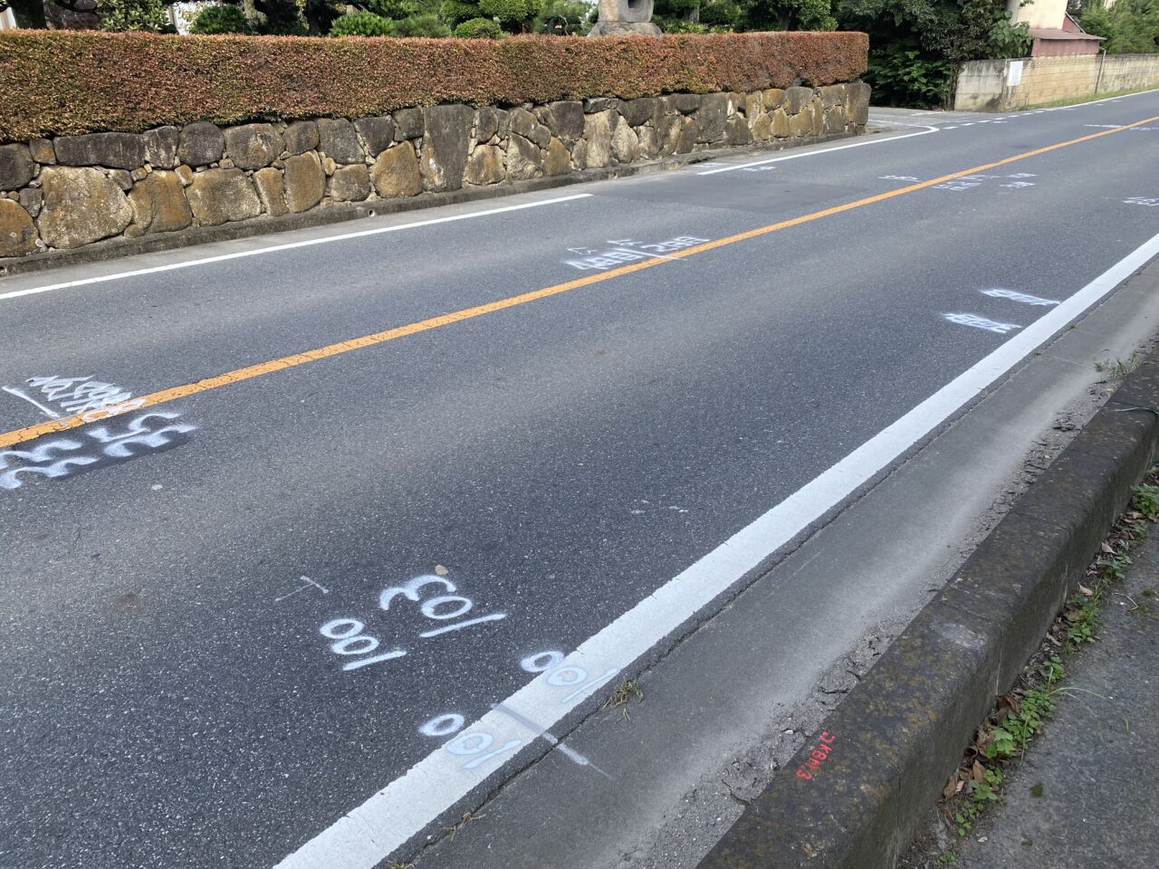 県道60号羽生外野栗橋線