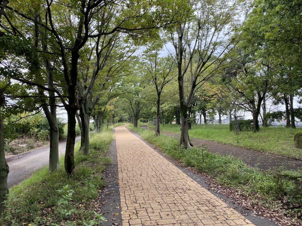 さきたま緑道（行田市佐間地内）