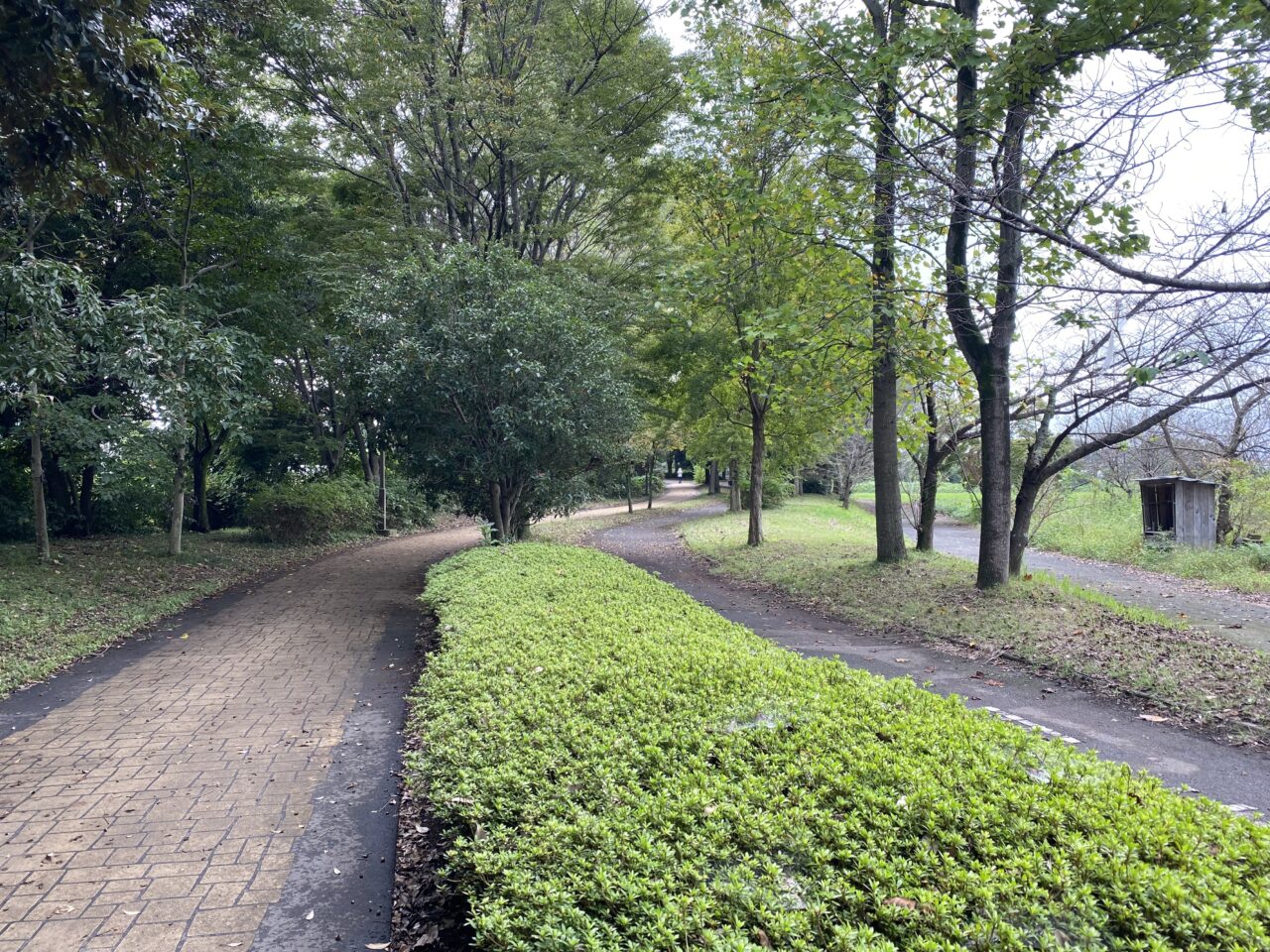 さきたま緑道（上越新幹線高架付近）