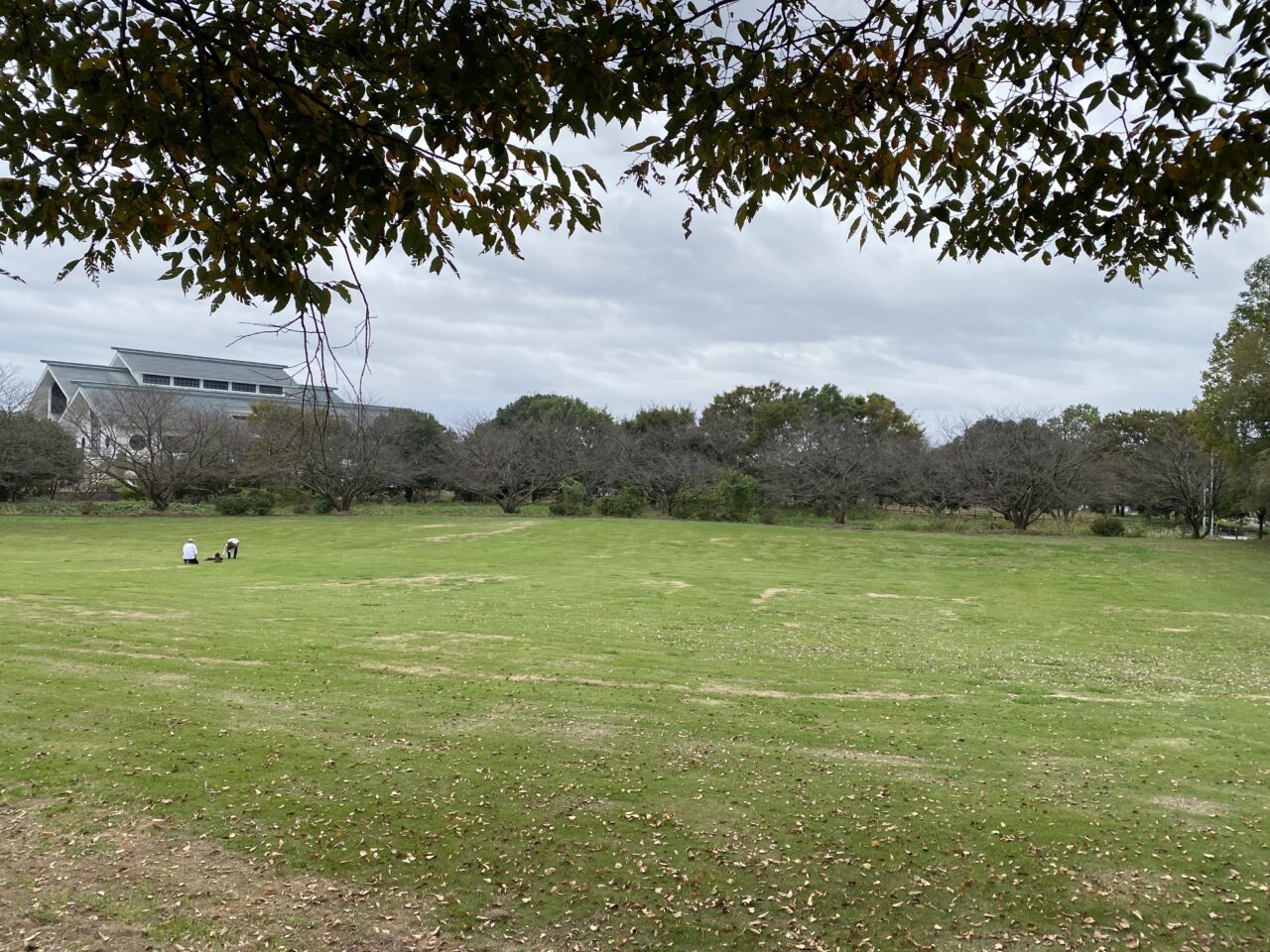 会場の騎西総合公園芝生広場