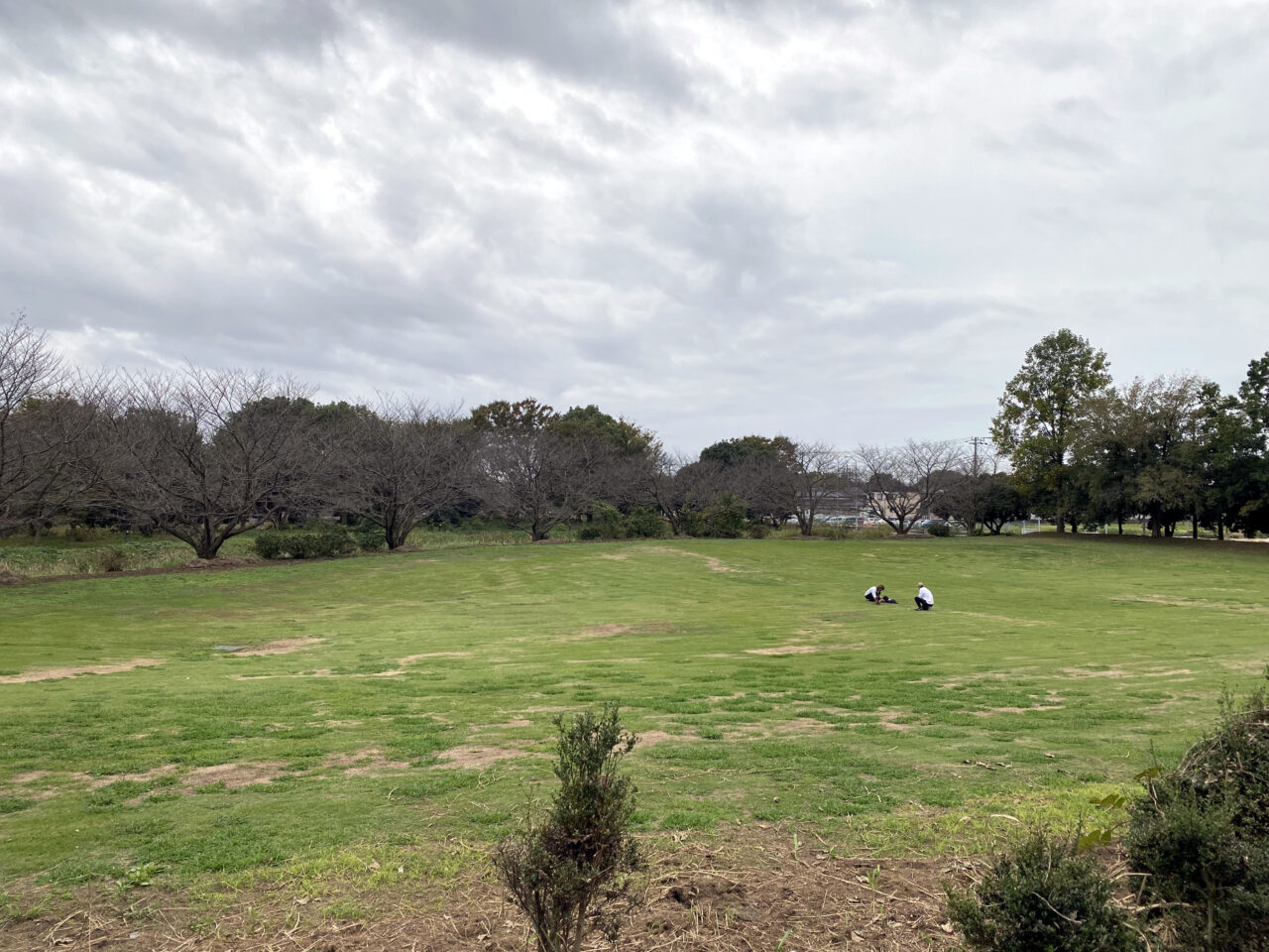 騎西総合公園芝生広場全景