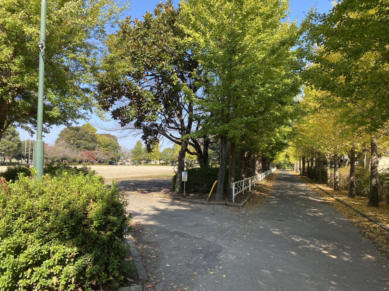 大利根運動公園自由広場への入口