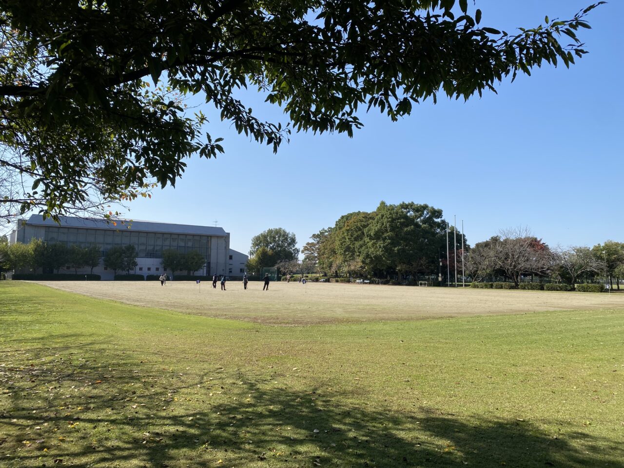 大利根運動公園自由広場（北側からの景色）