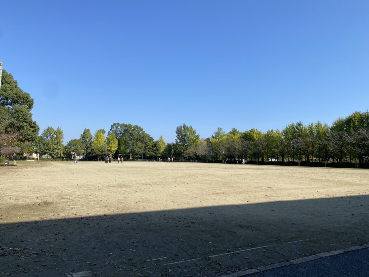 大利根運動公園自由広場（南側からの景色）