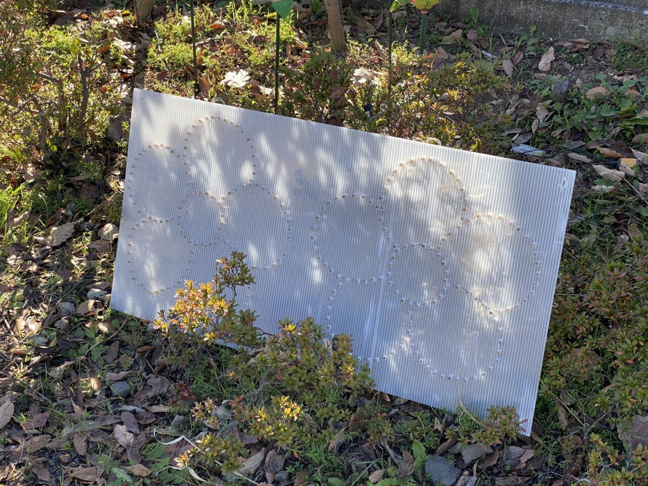 花のイルミネーション