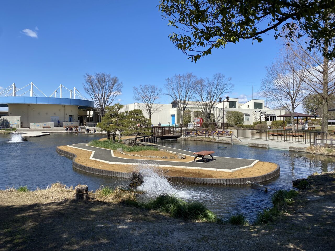 さいたま水族館（庭池）