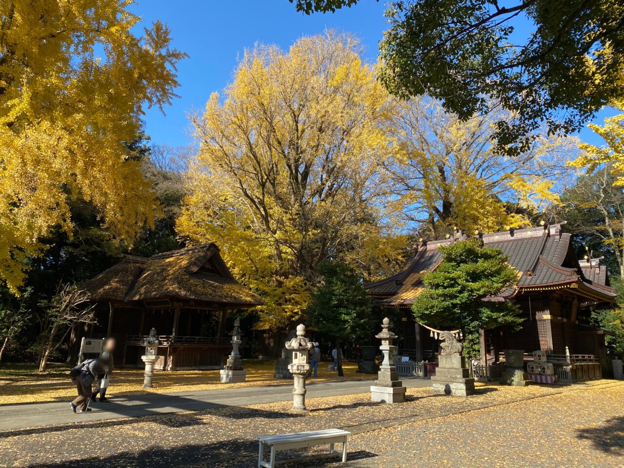 玉敷神社境内