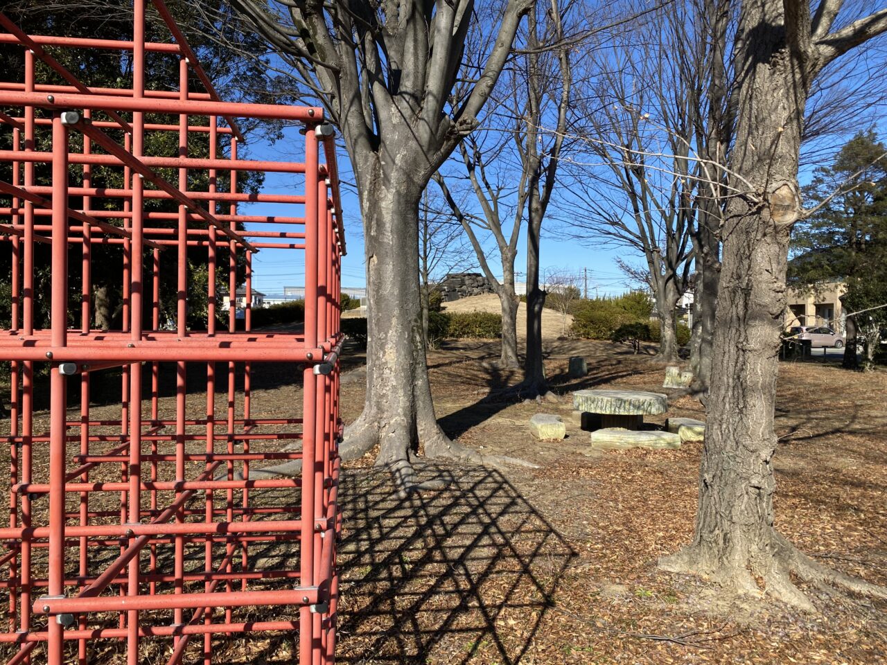 八幡山公園のジャングルジムから見た古墳