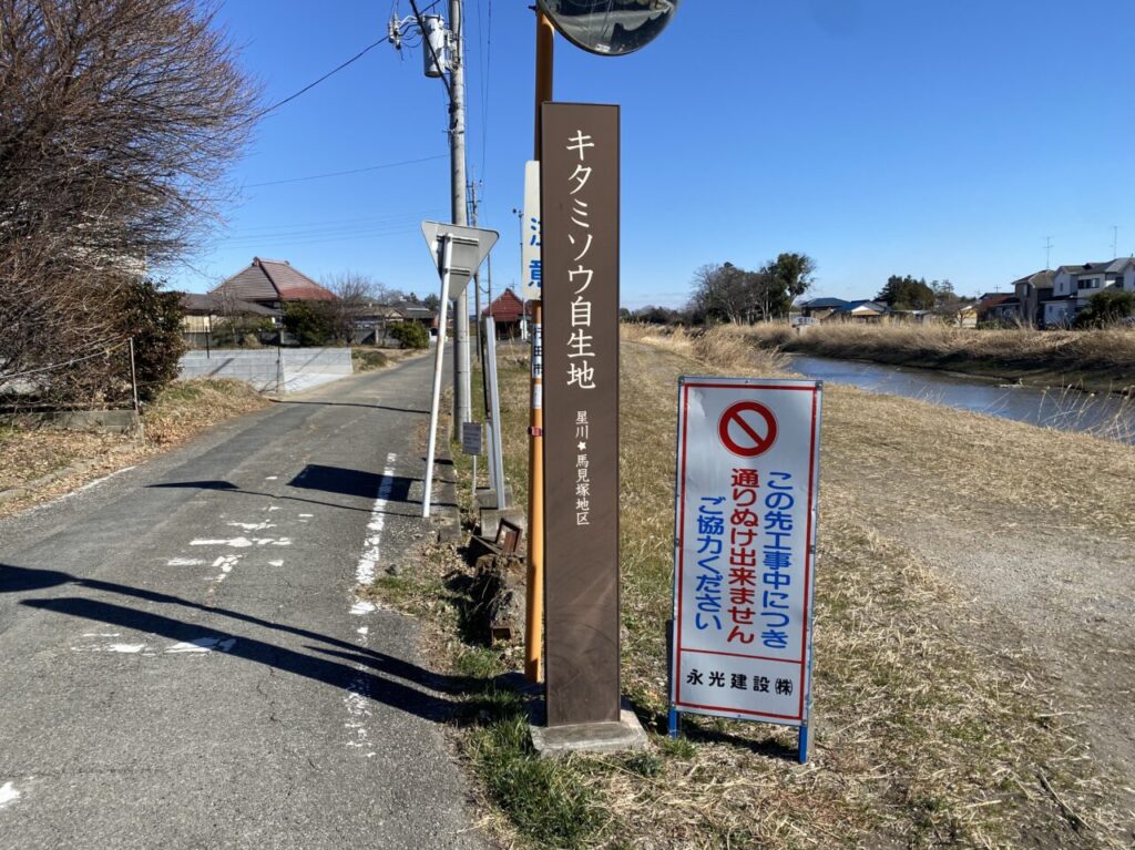 キタミソウ自生地の標識