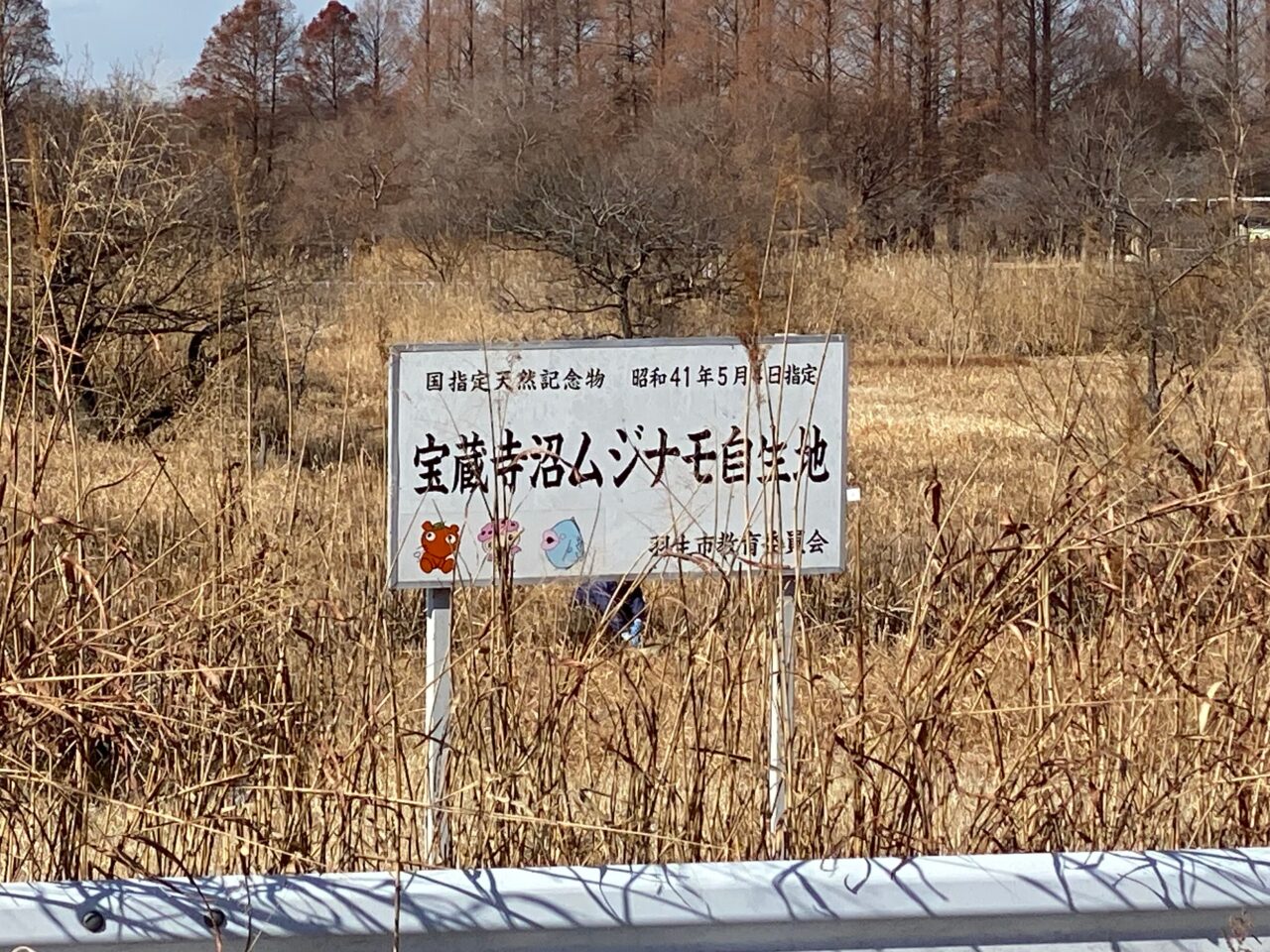 宝蔵寺沼ムジナモ自生地の看板