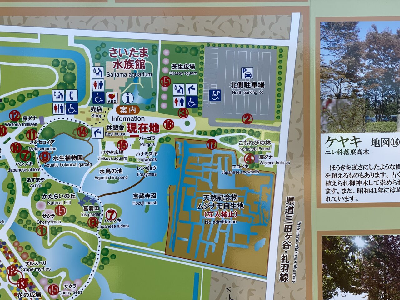 ムジナモ自生地周辺MAP