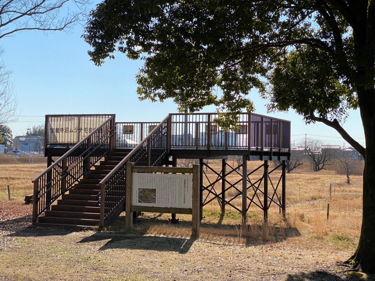 宝蔵寺沼ムジナモ自生地を展望できる高台