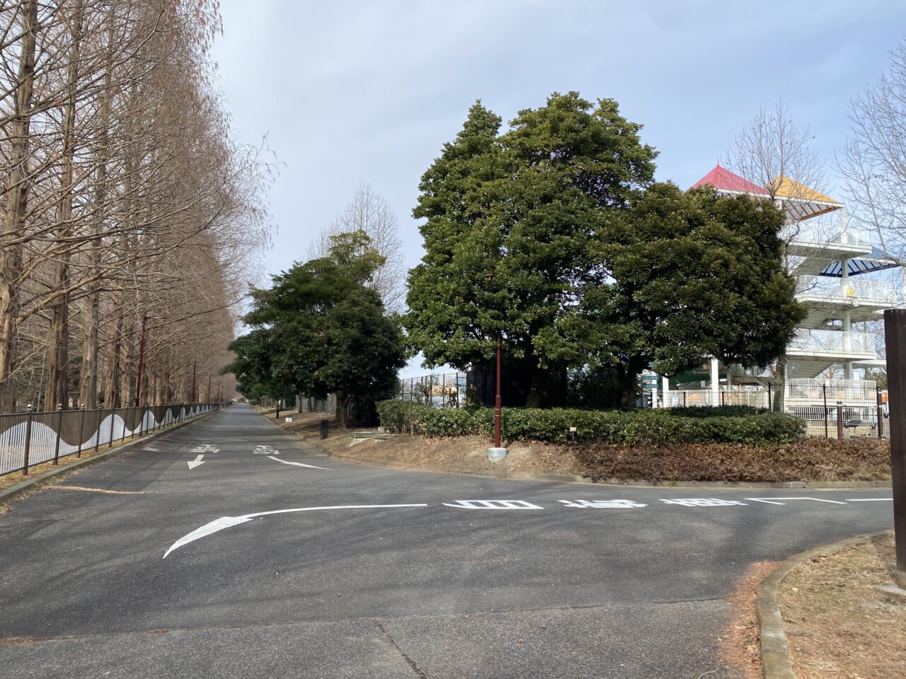 プール横を通る小学3/4年生の部コース