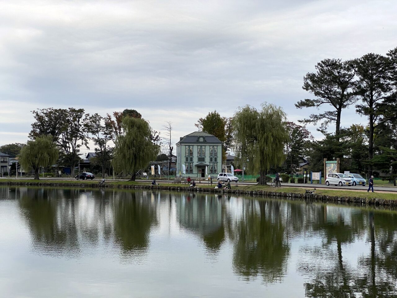 2024年11月の水城公園東側園地