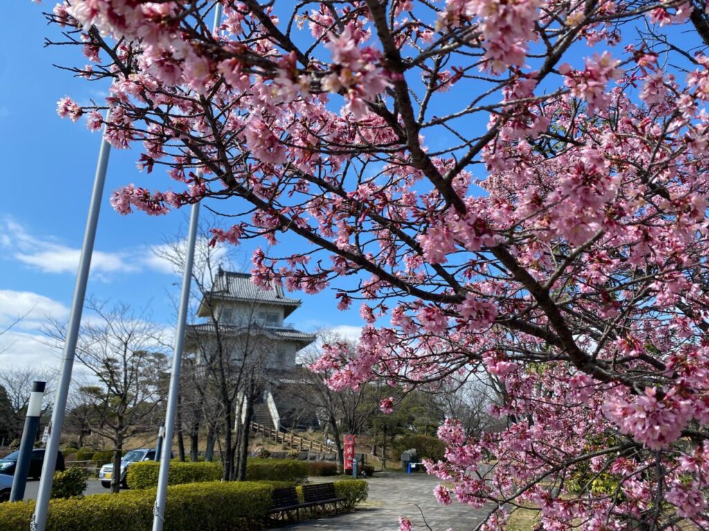 騎西城と桜