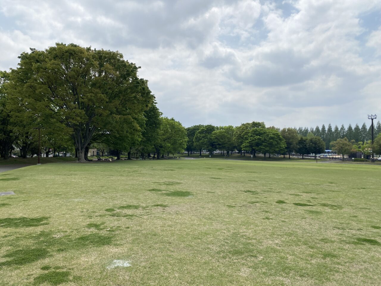 加須はなさき公園の芝生広場