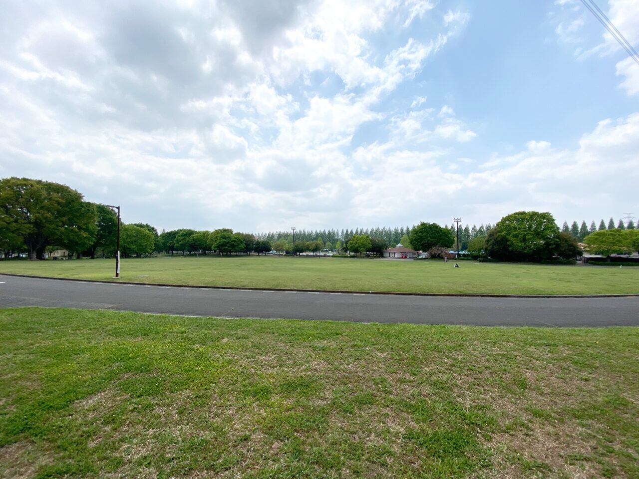 加須はなさき公園の芝生広場