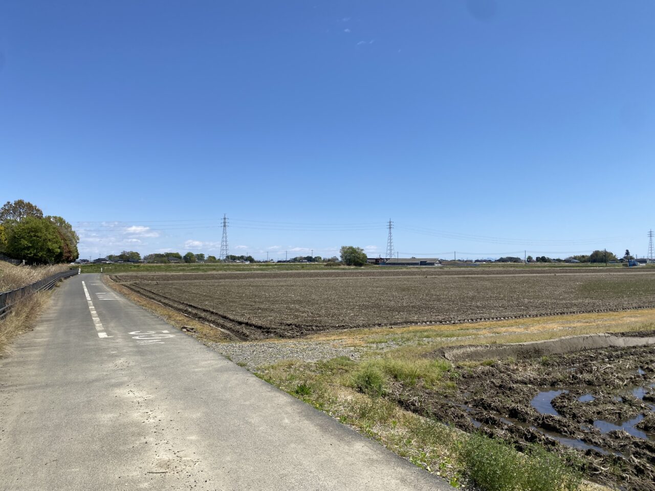 古代蓮会館東側の田んぼ