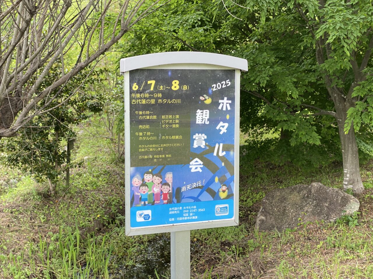 ホタル観賞会のお知らせ