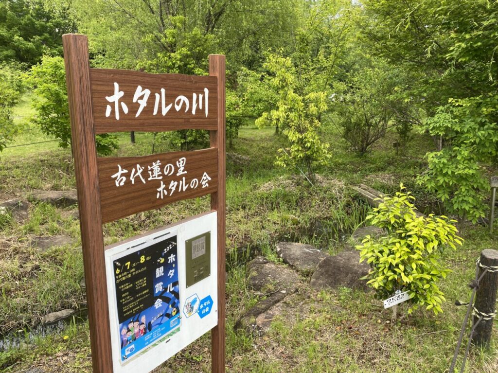 ホタルの川の看板