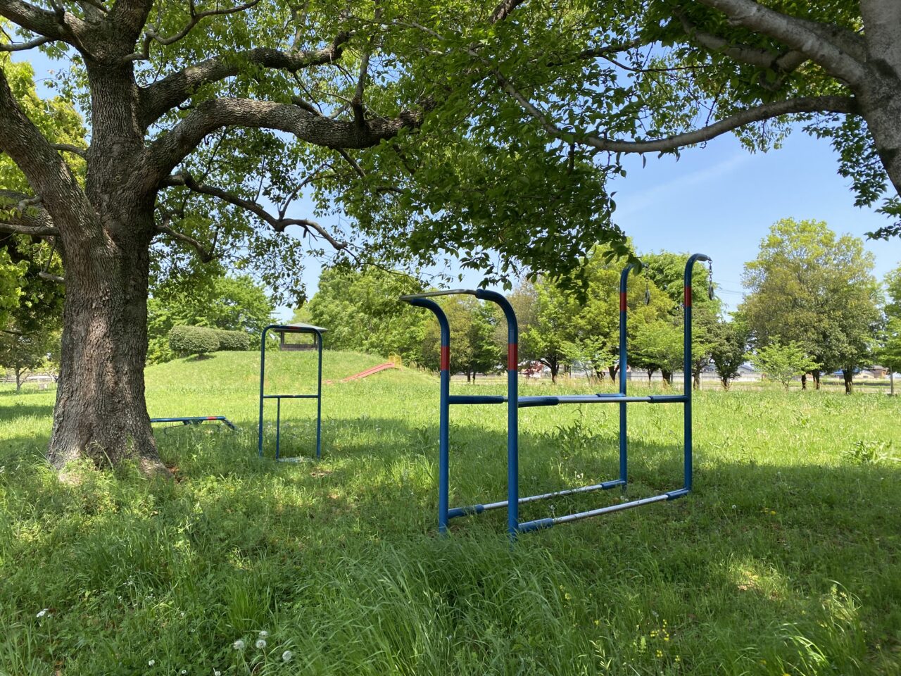 旧川ふるさと公園（自由広場）