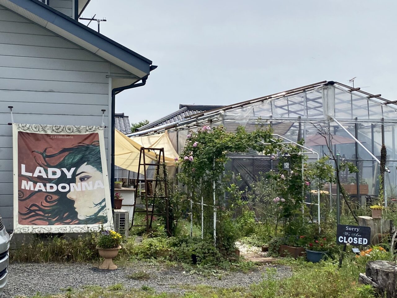 レディ・マドンナ店舗