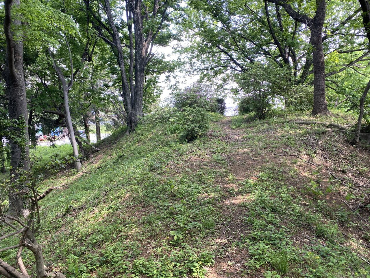 真名板高山古墳の墳頂その2